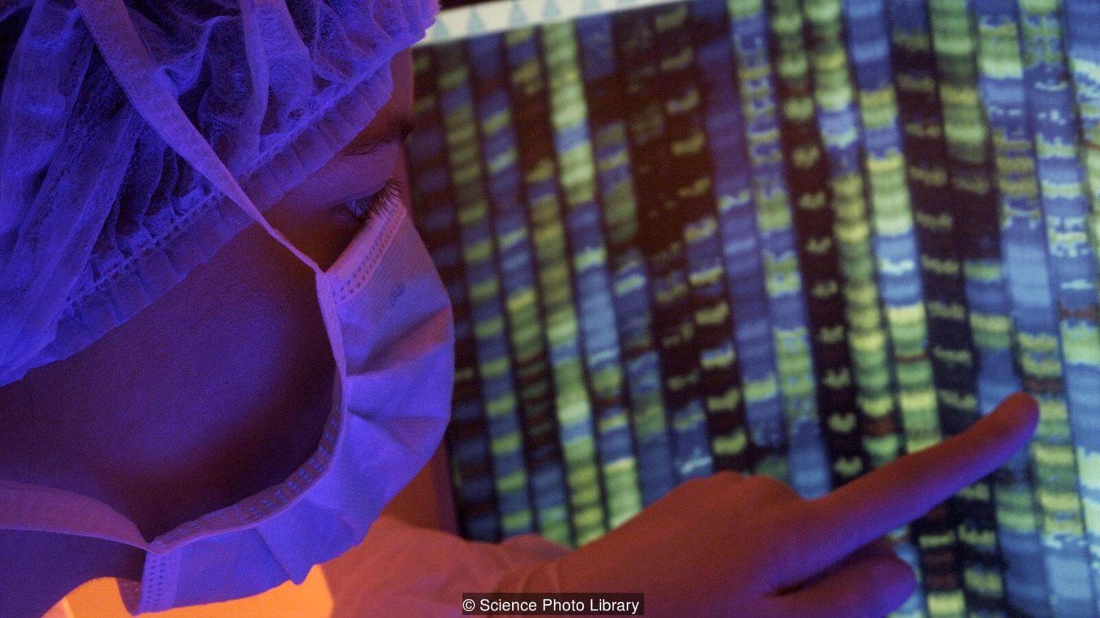 Дизайнерские младенцы. Правовые ограничения для редактирования генов есть, но не во всех странах. Фото.