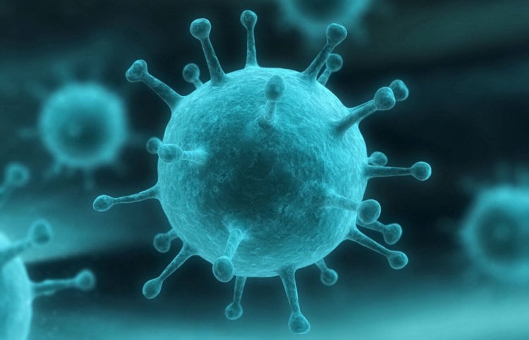 Ученые считают, что вирусы гораздо опаснее утром