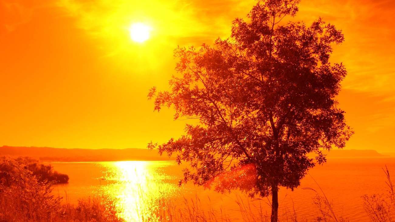 Жаркая погода