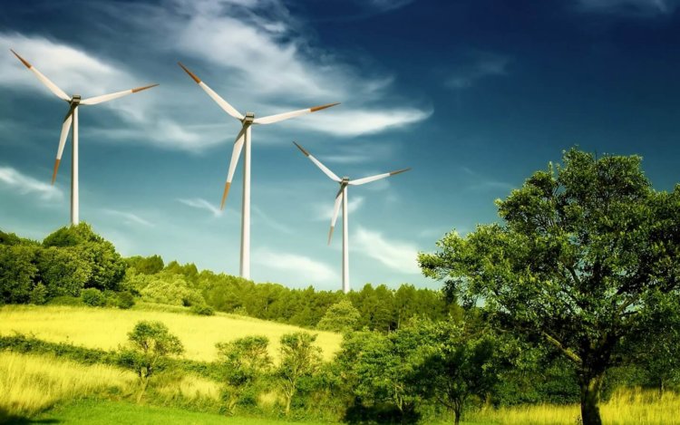 К 2025 году восток США может получать треть энергии из возобновляемых источников. Фото.