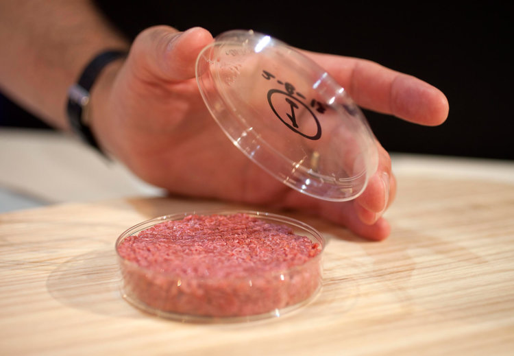 Искусственное мясо перевернет наш мир. Что такое искусственное мясо. Фото.