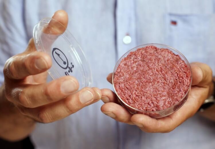 Искусственное мясо перевернет наш мир.. Фото.