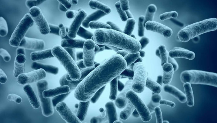 Как чувствует себя ученый, вколовший себе древнюю бактерию в надежде продлить жизнь?