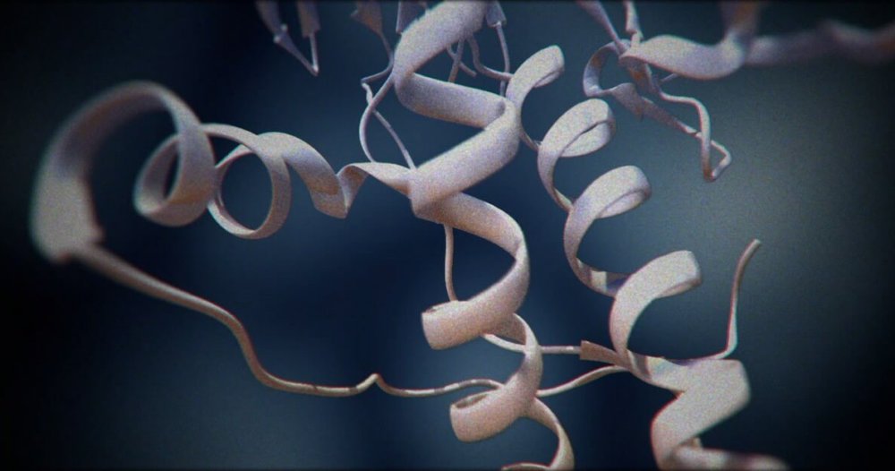 Изучена структура приона, вызывающего болезнь Крейтцфельдта — Якоба ...