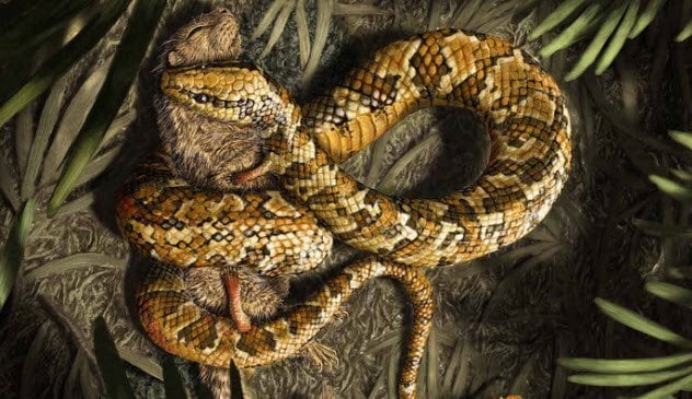 10 вымерших животных с удивительными особенностями. Змея с четырьмя ногами. Фото.