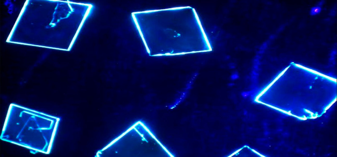 В Новосибирске разработали эффективный материал для гибких экранов. Фото.