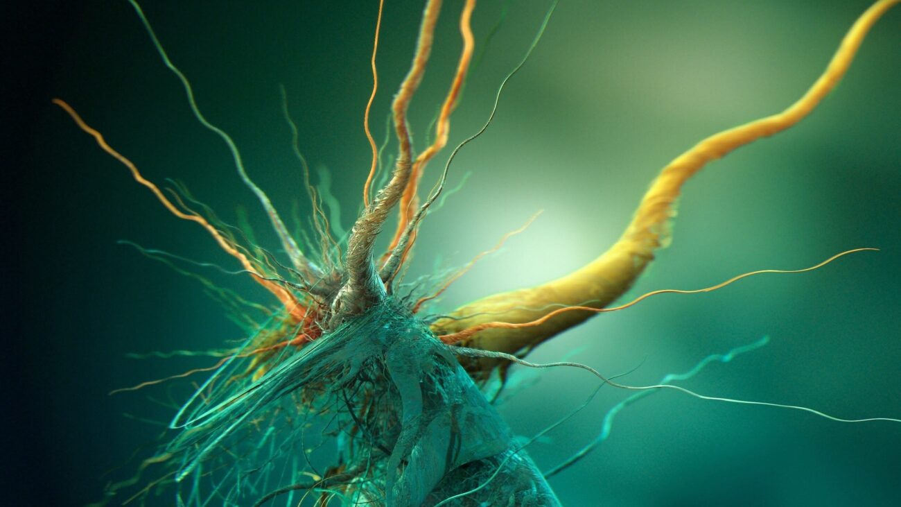 Обнаруженные в Антарктиде бактерии могут иметь внеземное происхождение.. Фото.