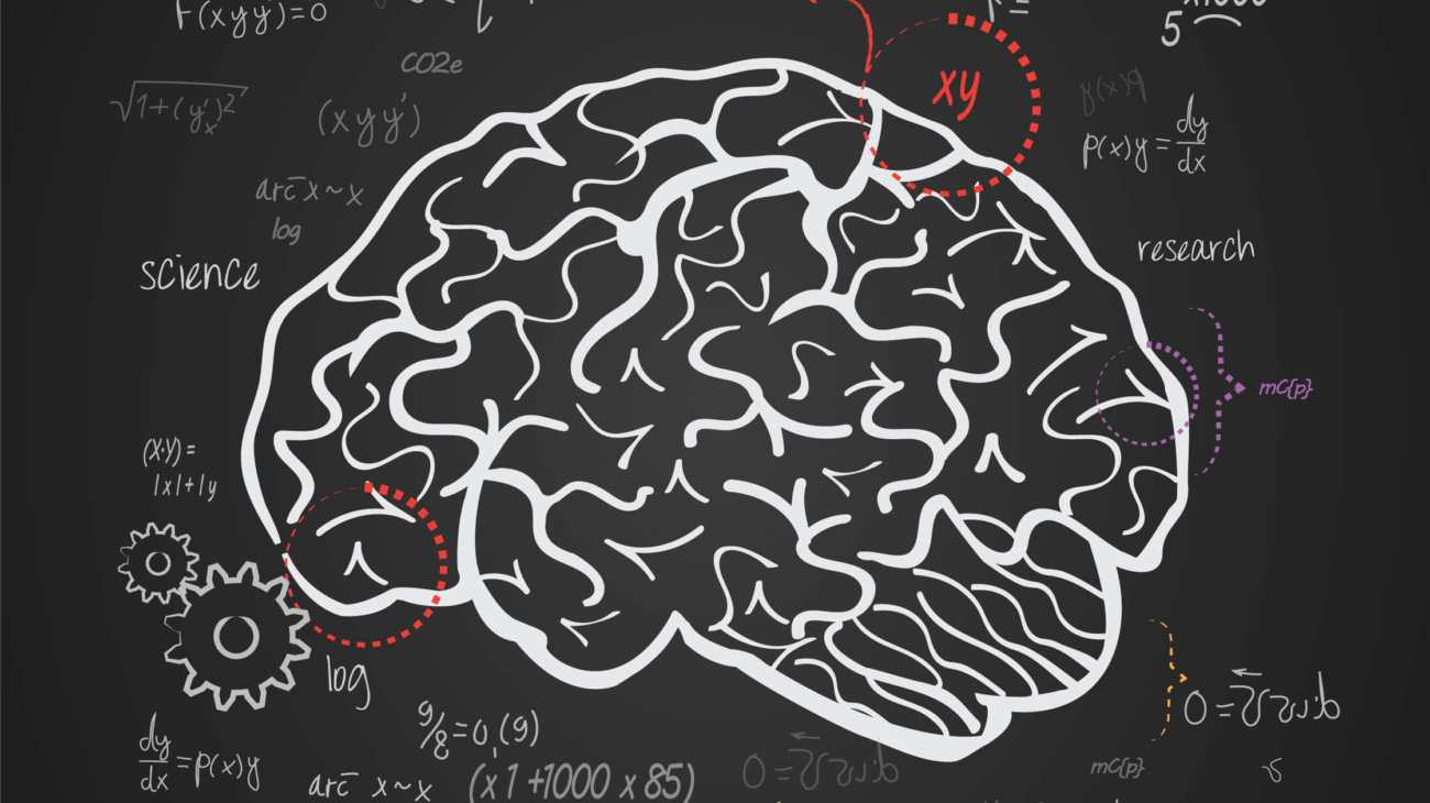 Базовый алгоритм в наших мозгах активирует интеллект