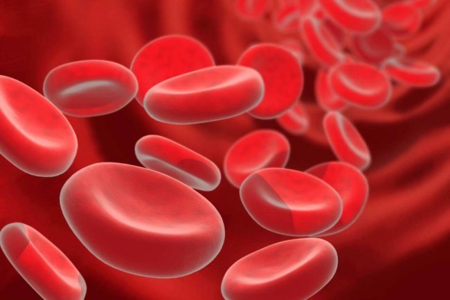 Сингапурские ученые научились делать клетки крови из клеток кожи. Фото.