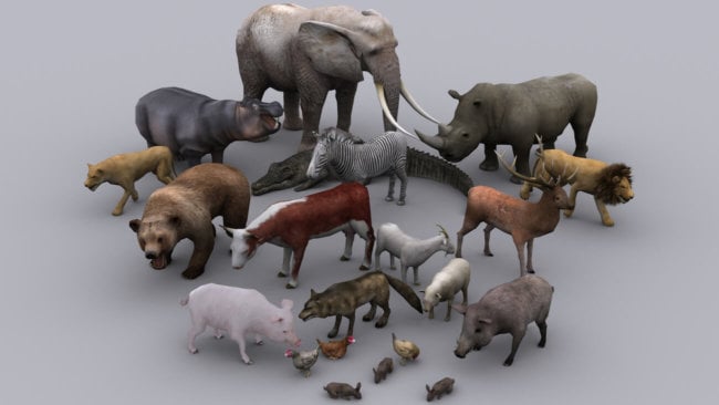 Запущен проект Digital Life, цель которого создать 3D модели всех существующих животных