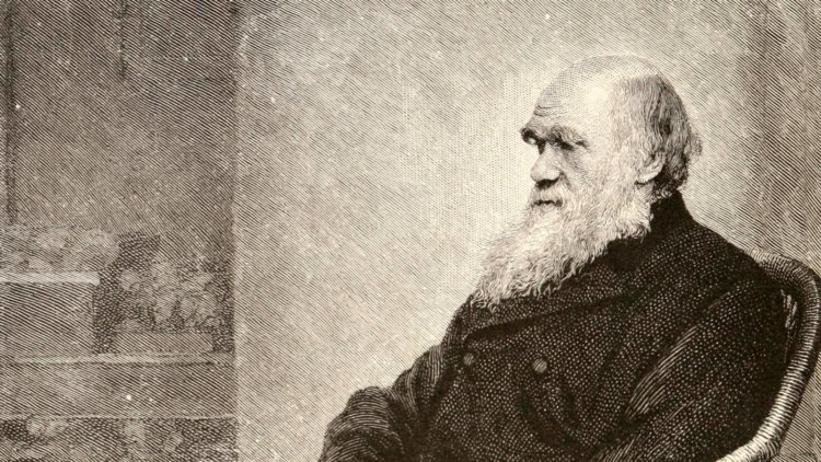 Первые эксперименты. Чарльз Дарвин показал, что вся жизнь произошла от одного общего предка. Фото.