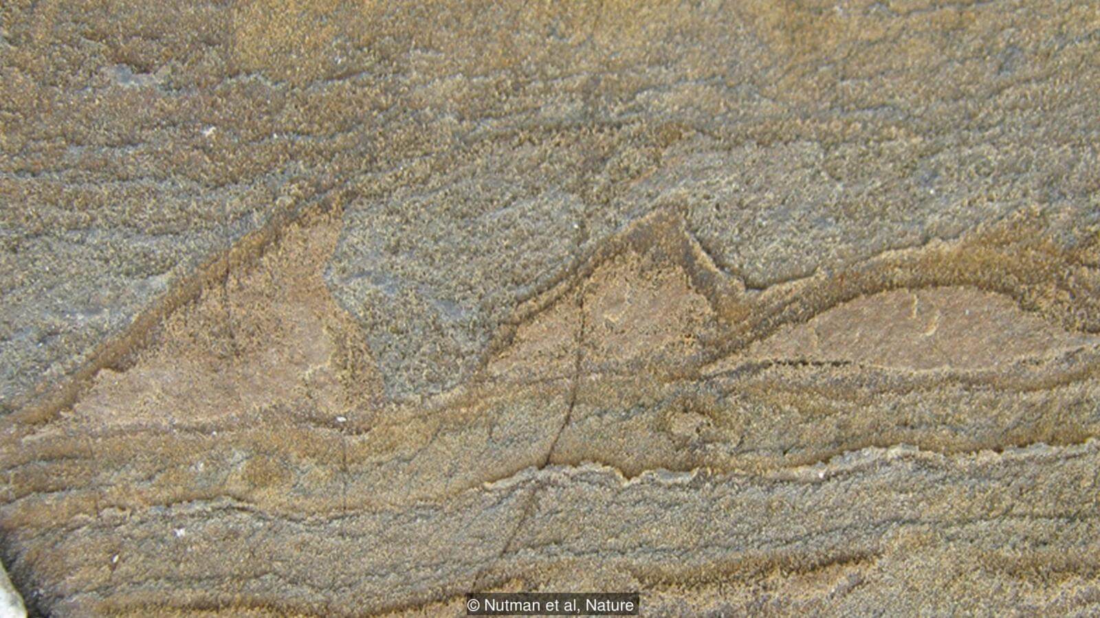 Часть первая: как создать клетку? Этим волнистым узорам может быть 3,7 миллиарда лет. Фото.