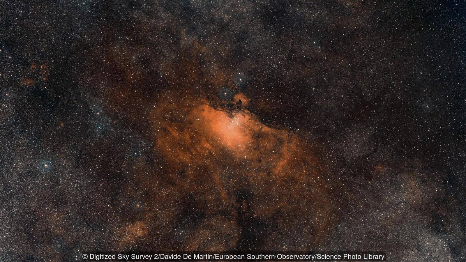 Из-за чего вымерли динозавры? Исчезнуть может многое. Фото.