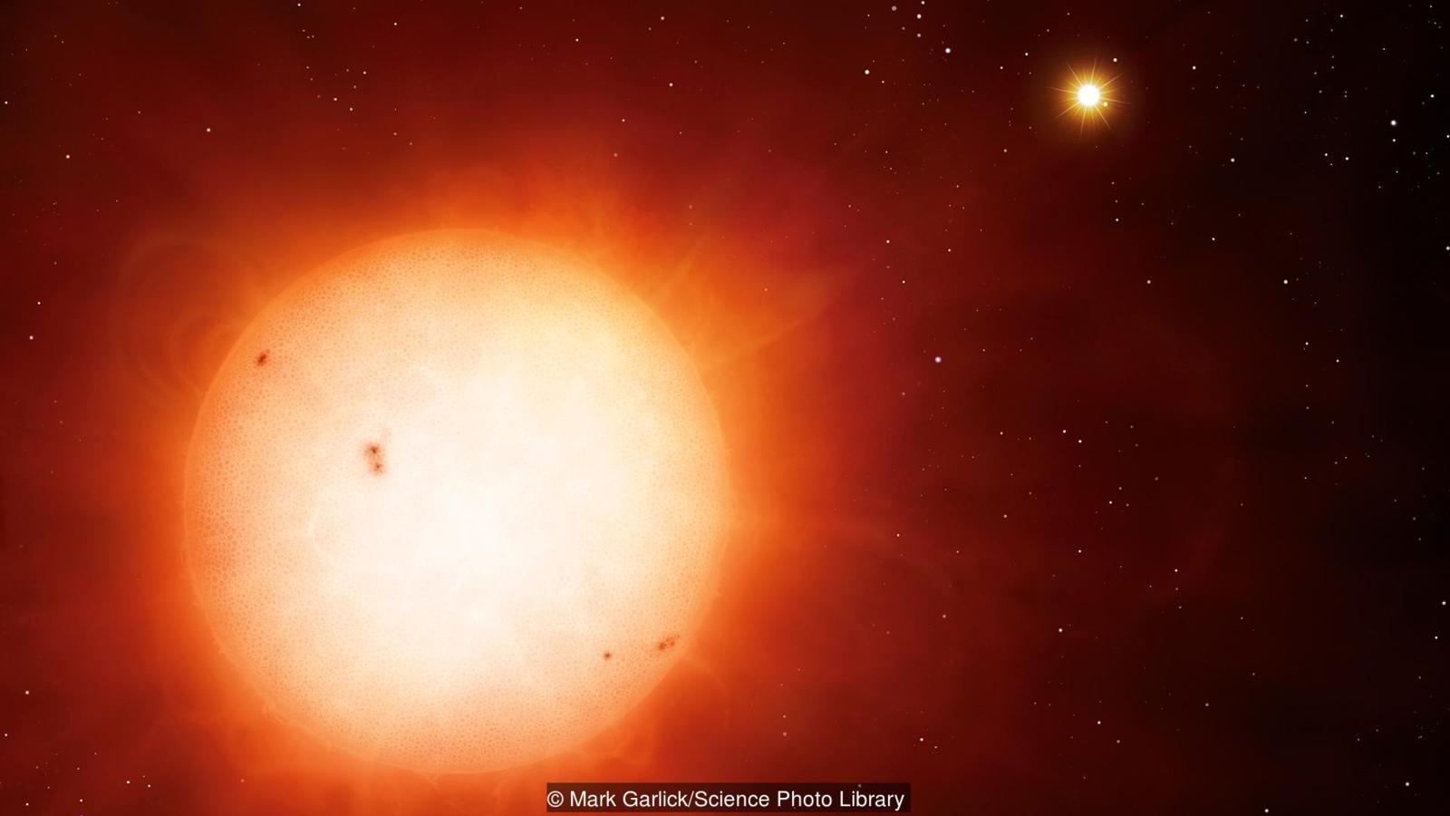 Самое массовое вымирание живых видов на Земле. У любой жизни должен быть источник. Фото.