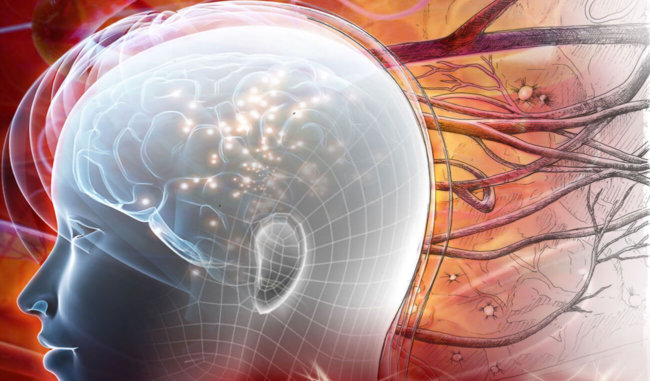 Нейроны, выращенные из эмбриональных стволовых клеток, могут заменить поврежденные области головного мозга