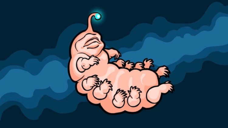 Тайна появления жизни на Земле. Тихоходки значат для нас куда больше, чем кажется. Фото.