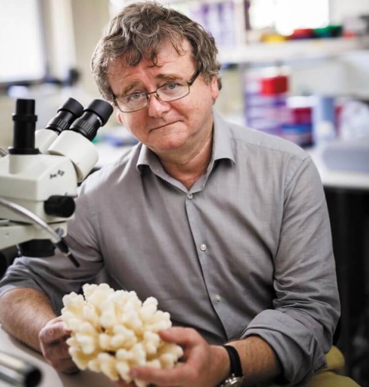 Терри Хьюз. Фото.