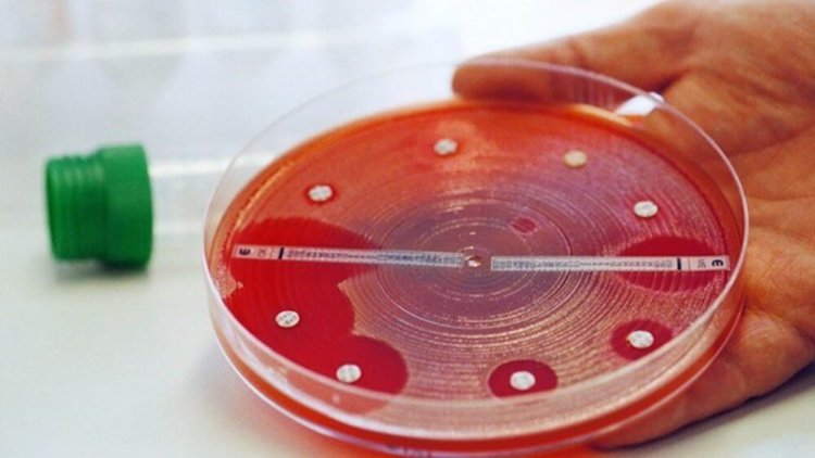 Бактерии выработали устойчивость к антибиотикам задолго до их открытия. Фото.