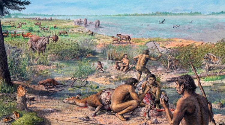 Археологи узнали, чем питались древние предки человека 1,2 миллиона лет назад. Фото.