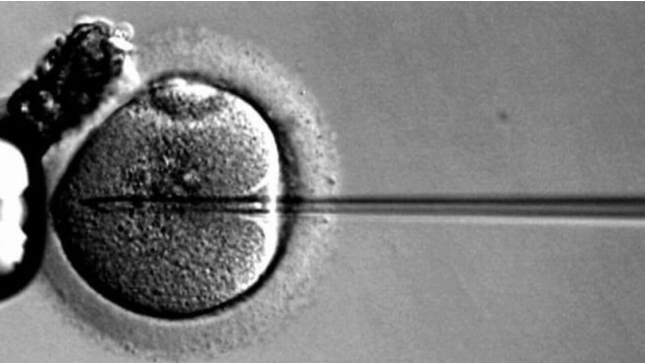 Самые любопытные прогнозы футурологов, которые свершились в 2016 году. CRISPR — это только на бумаге просто. Фото.