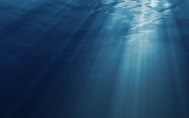 В Индийском океане обнаружена "мертвая зона" площадью 60 000 квадратных километров