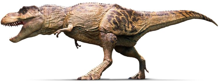 Девочка! Ученым удалось точно определить пол «мамаши-динозавра». Фото.