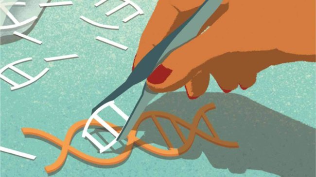 5 загадок, касающихся происхождения CRISPR. Фото.