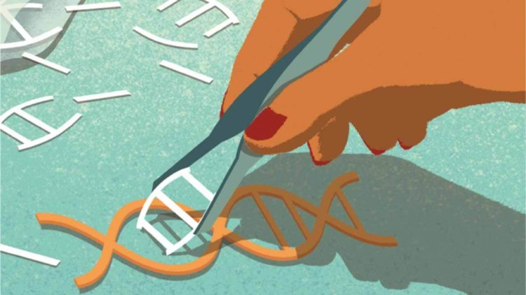 5 загадок, касающихся происхождения CRISPR. Редактирование генома — сложная штука. Фото.