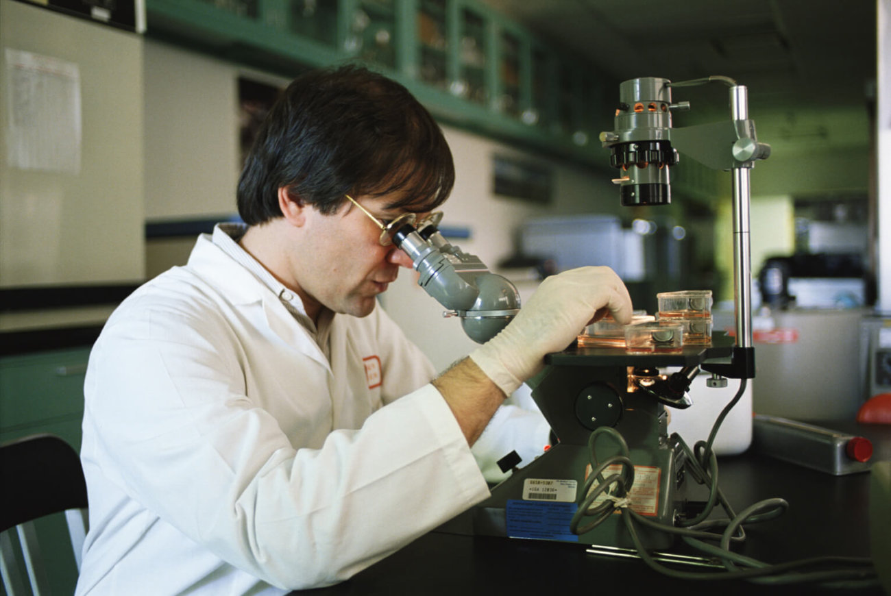 Российские учёные разрабатывают способ управления клетками с помощью магнита.. Фото.