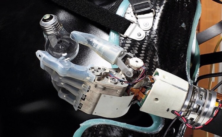 Никогда не знаешь, чего ждать. Фото.