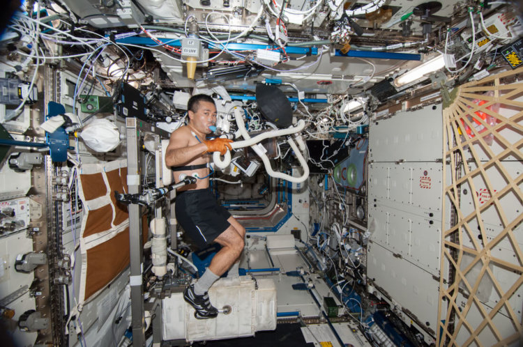 Может ли микрогравитация убить? Даже на космической станции на следить за здоровьем. Фото.