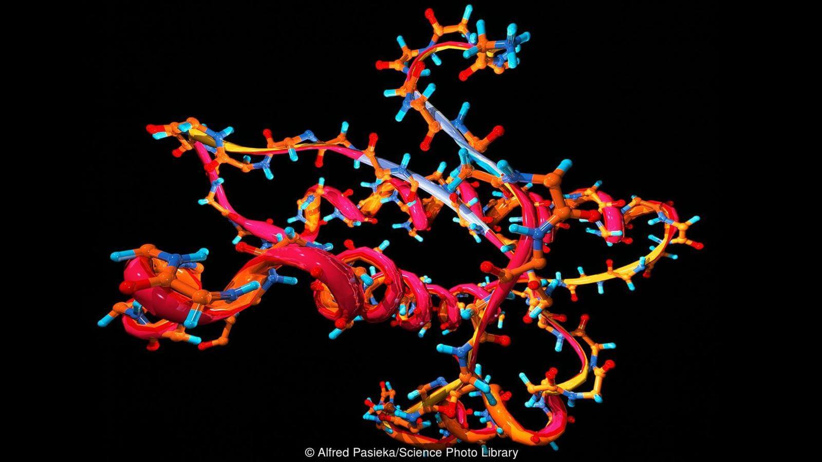 Иногда все выглдяит даже так. Фото.