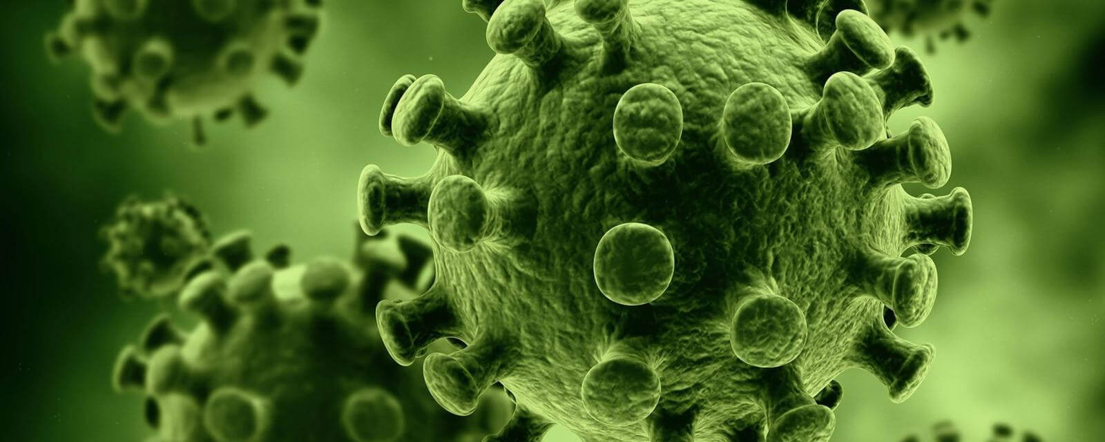 Жизнь ли это. Фото.