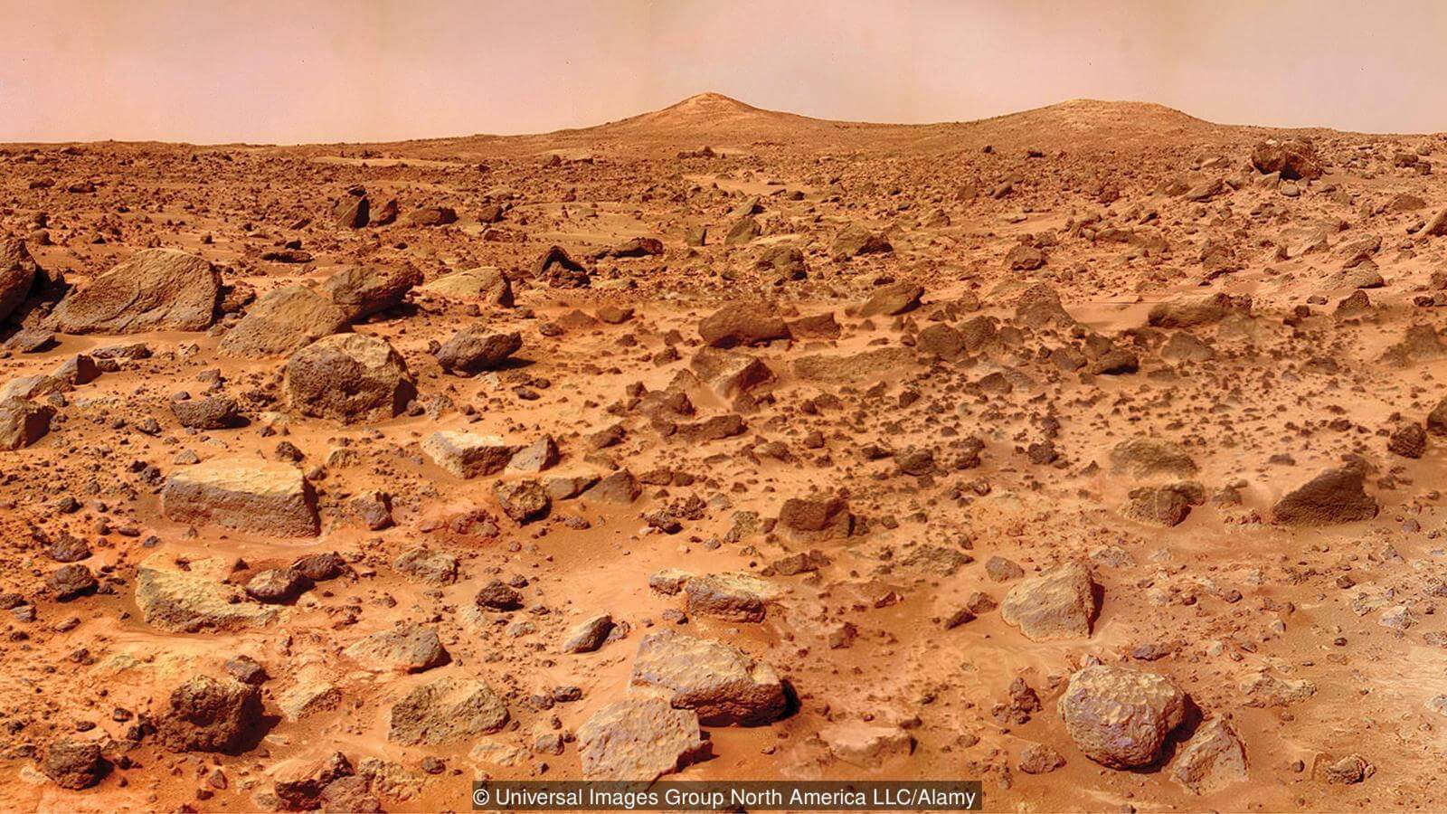 В целом, жизнь возможна и тут. Фото.