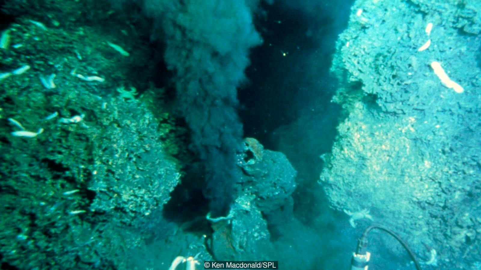 Под водой часто можно встретить такое. Фото.