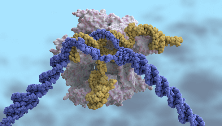 Почему не все микробы используют CRISPR? Так выглядит белок под микроскопом. Фото.