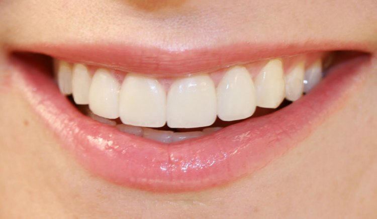 Учёные научились регенерировать повреждённые ткани зубов. Фото.