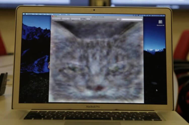 #тренды | Машинное обучение. Эксперимент Google с кошками. Фото.