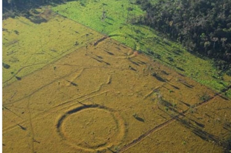 В Бразилии обнаружены десятки древних строений, похожих на Стоунхендж. Фото.