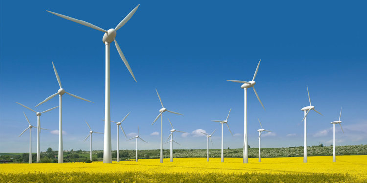 Почти все новые электростанции Европы получают энергию из возобновляемых источников. Фото.