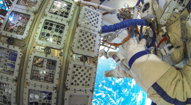 Эксперимент: водоросли выжили после 450 дней, проведенных в открытом космосе. Фото.