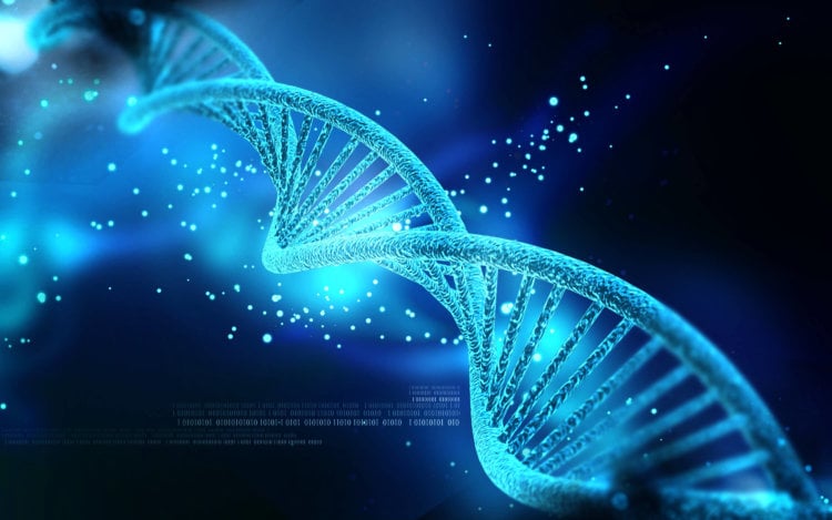 10 мутантных генов, которые сделают вас сверхчеловеком. ДНК определяют нас самих. Фото.