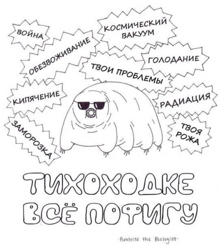 Добротный мем. Фото.