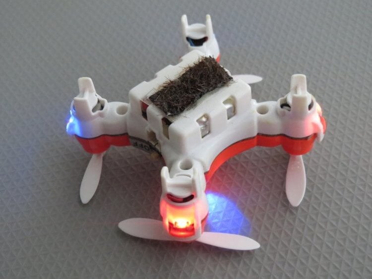 Роботы против насекомых: почему крошечные дроны проигрывают пчелам? Фото.