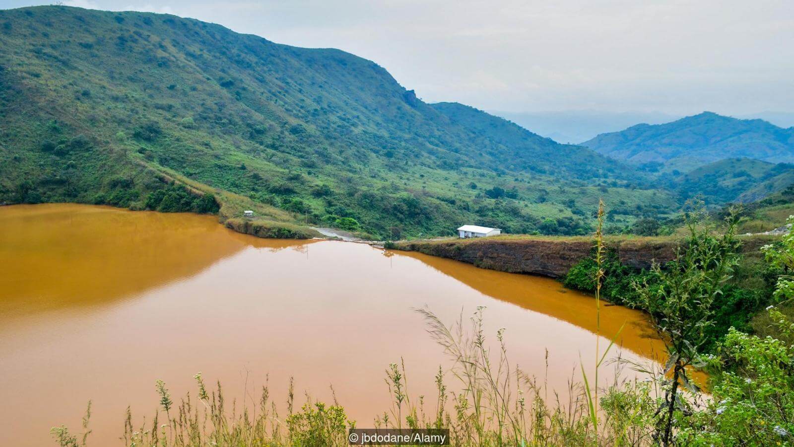На вид все спокойно. Фото.