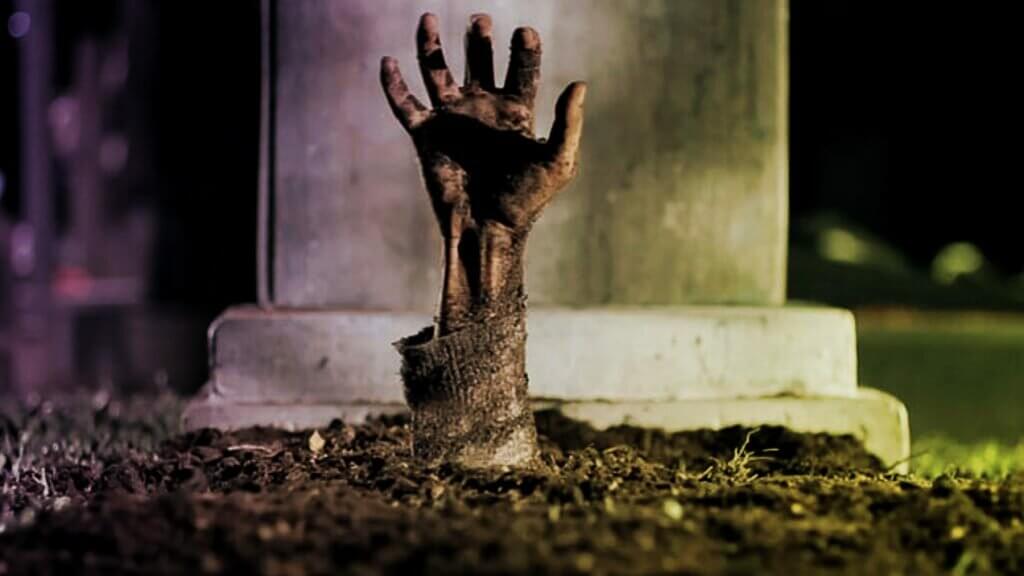 Биологи продолжают исследовать процесс клеточного воскрешения. Фото.