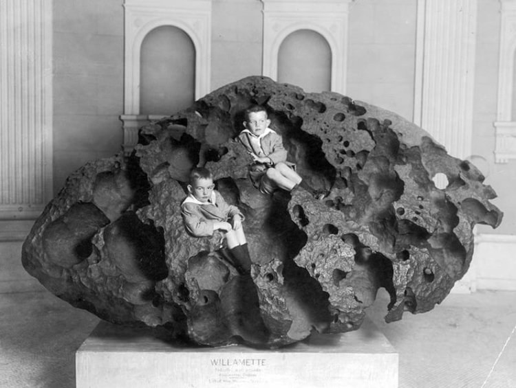 Уилламетт. Фото метеорита, сделанное в Американском музее естественной истории в Нью-Йорке в 1911 году. Фото.
