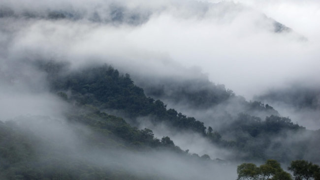 «Туманные» хранилища могут стать безопасной альтернативой «облачным». Фото.