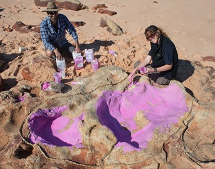 На побережье Австралии обнаружено крупнейшее скопление следов динозавров. Фото.