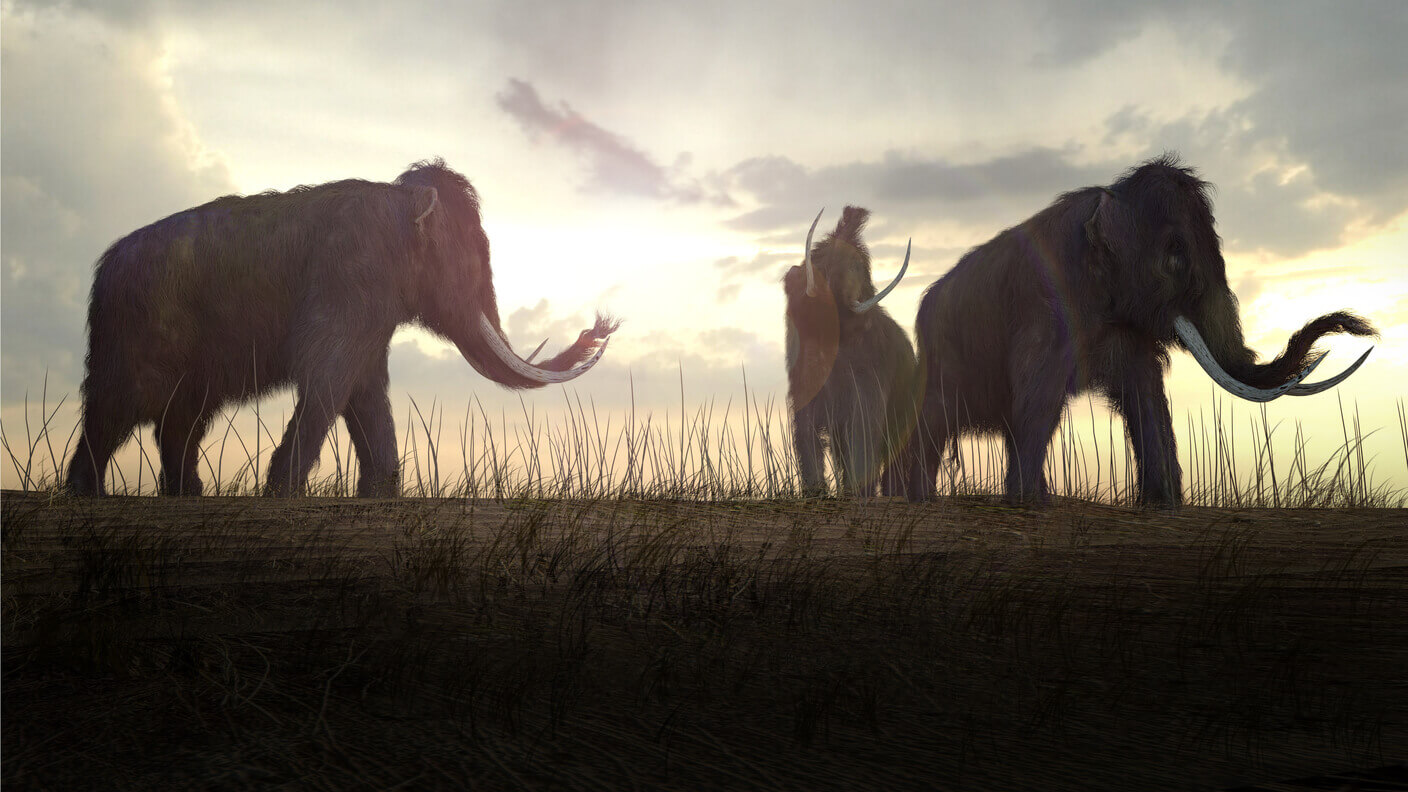 Вымершие животные всегда были интересны людям. Фото.